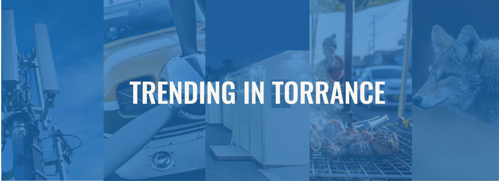 Trending In Torrance Hero banner