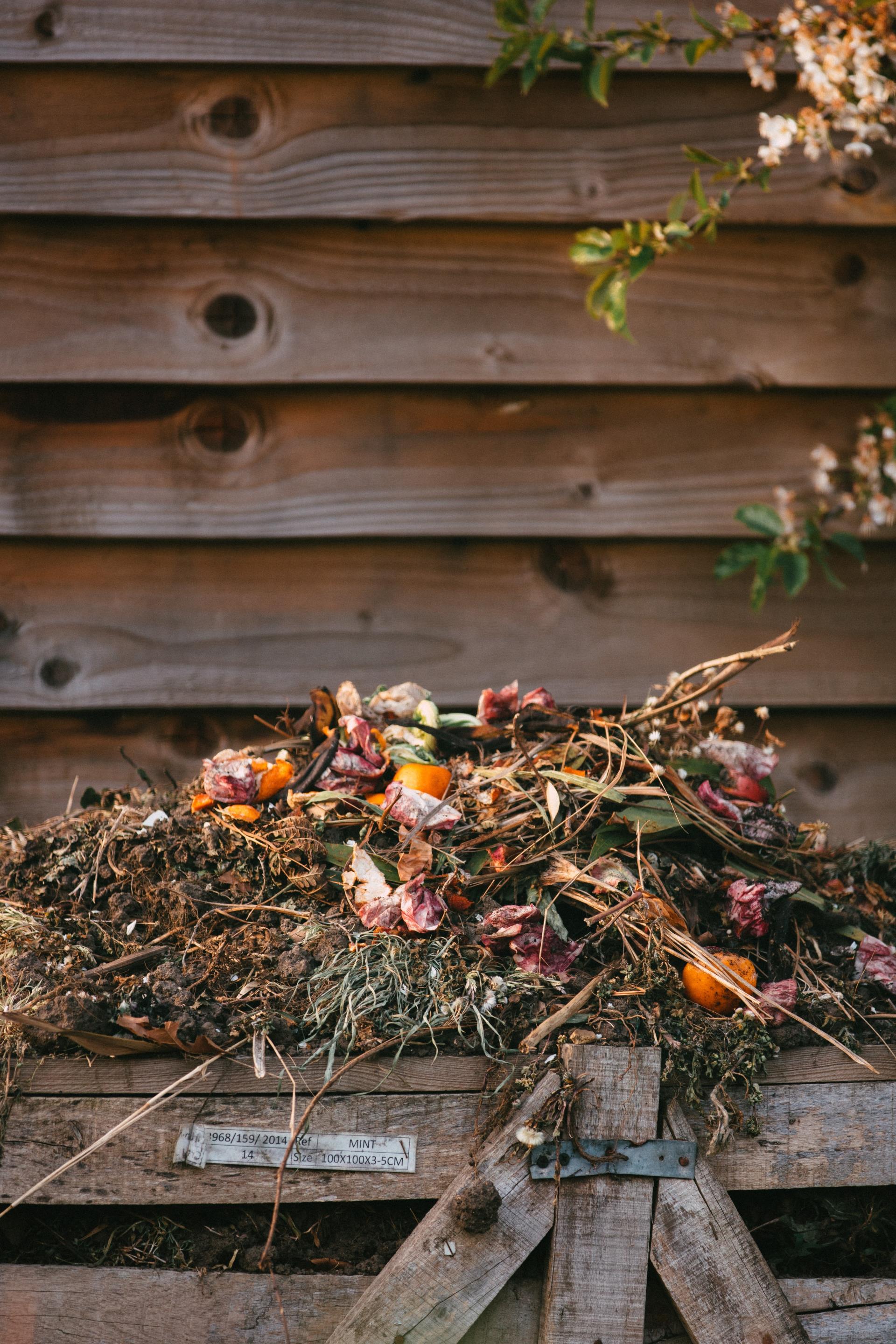 Fallen leaves
