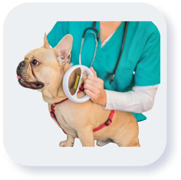 Icon Microchip
