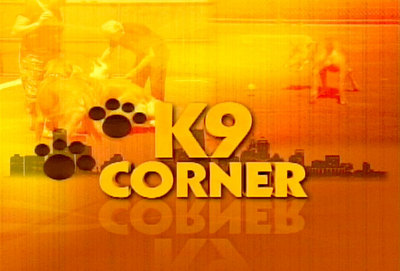 k9 corner logo